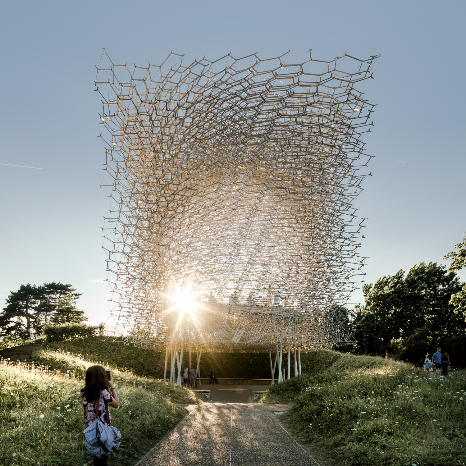 梦幻之境 · Wolfgang Buttress 的“蜂巢”-61