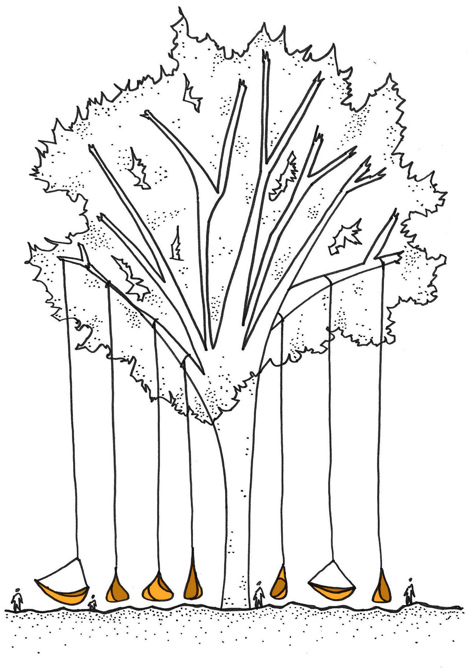 南锡的空贝壳-3