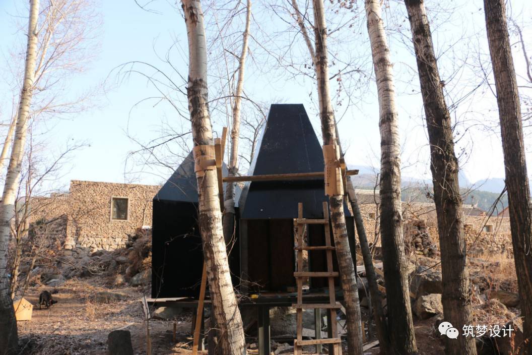 听闻 |这个春天到北京看树屋-72
