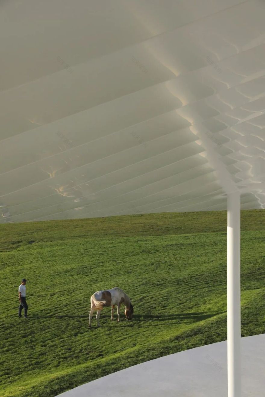 慢珊瑚新作|大庆阿木塔风景区的草原方舟-46