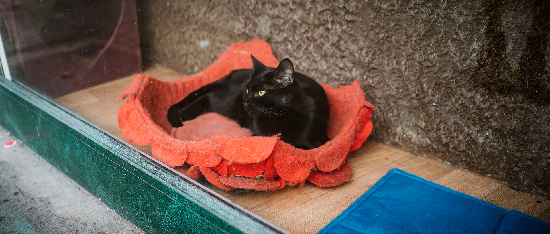 变形伦敦丨United KingdomLondon丨alexanderrentsch-95