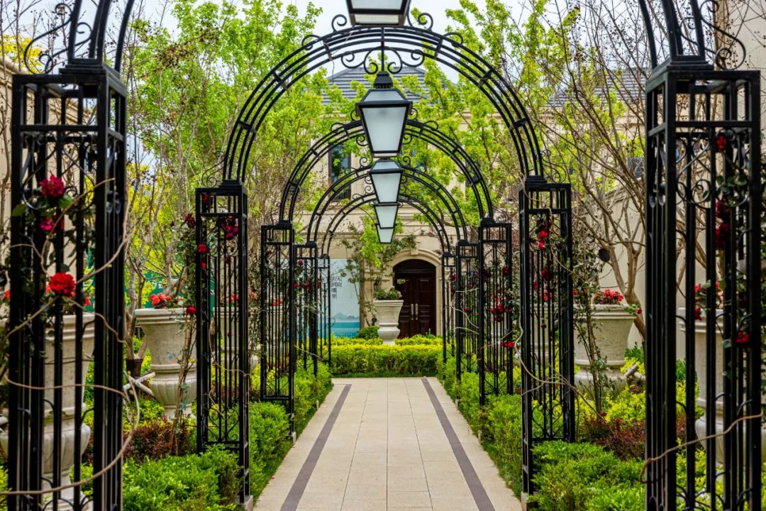 绿城玫瑰园葡萄酒小镇丨中国大连丨浙江蓝颂园林景观设计集团有限公司-48