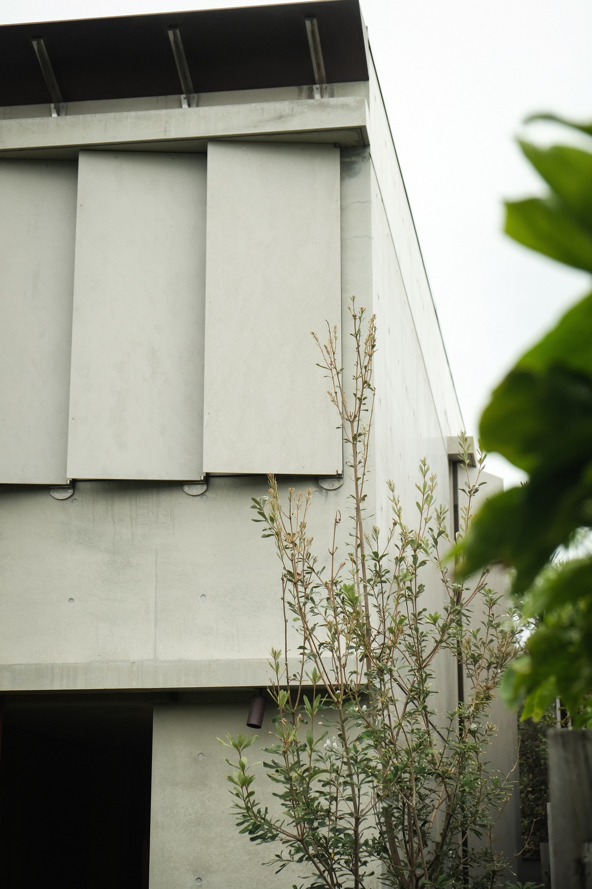 丨澳大利亚悉尼丨Peter Stutchbury Architecture-10