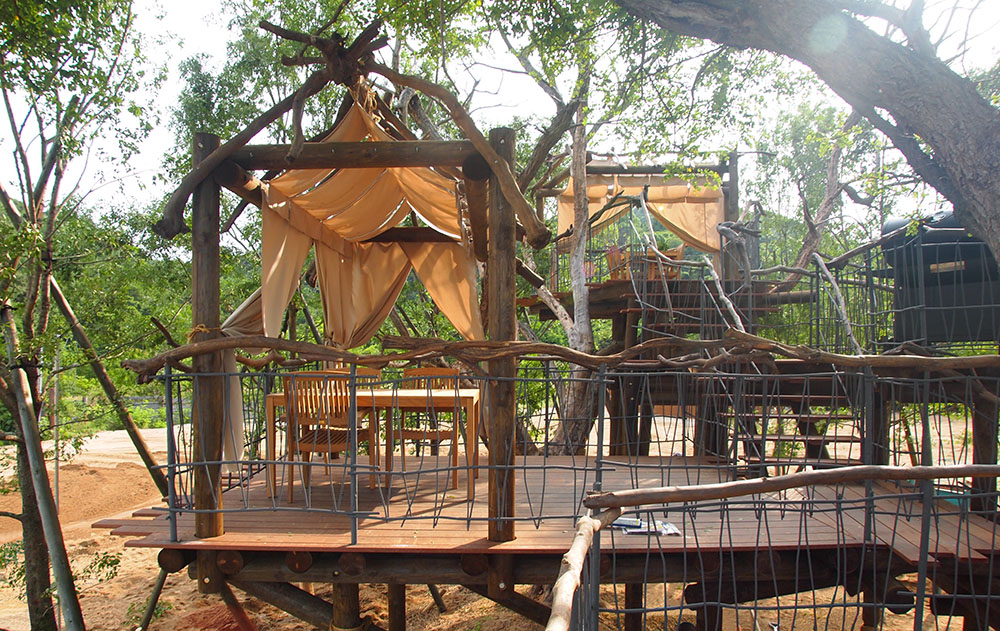 Tree terrace on uninhabited island-1