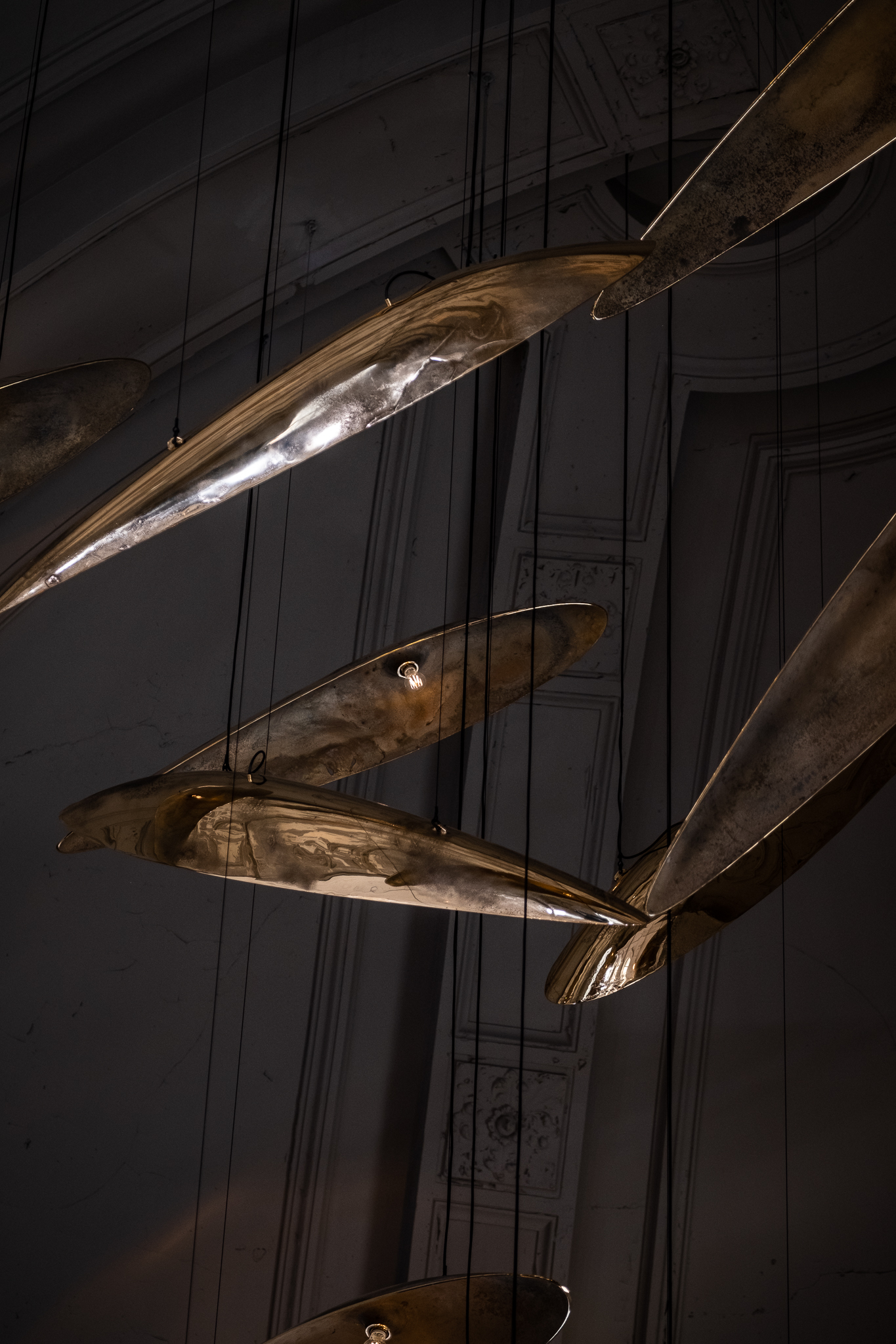 Sharks at The Jane - Dieter Vander Velpen Architects-11