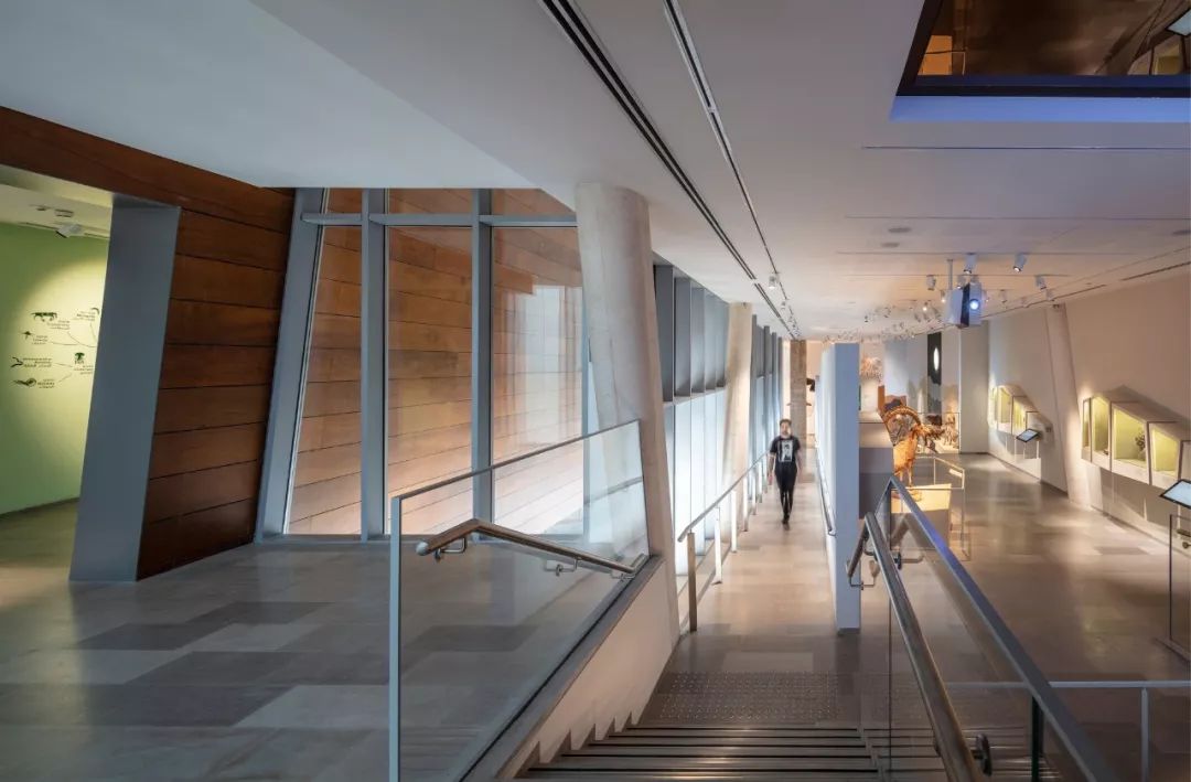 以色列建筑事务所 Kimmel Eshkolot 的杰出设计-45