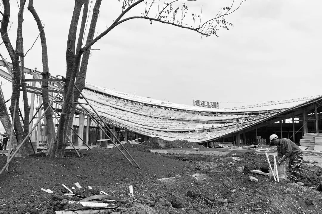 海口南片区公园游客中心丨中国海口丨慕达建筑MUDA  Architects-34