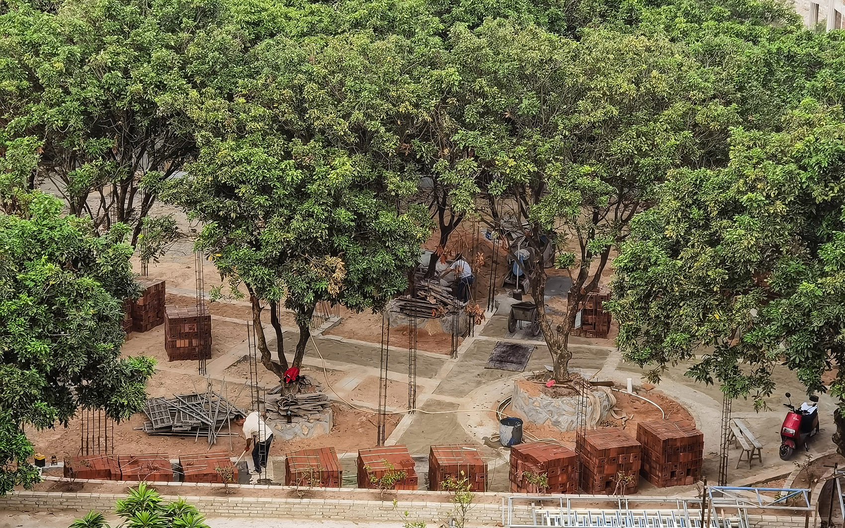 龙眼树下的院子丨中国泉州丨在场建筑-110