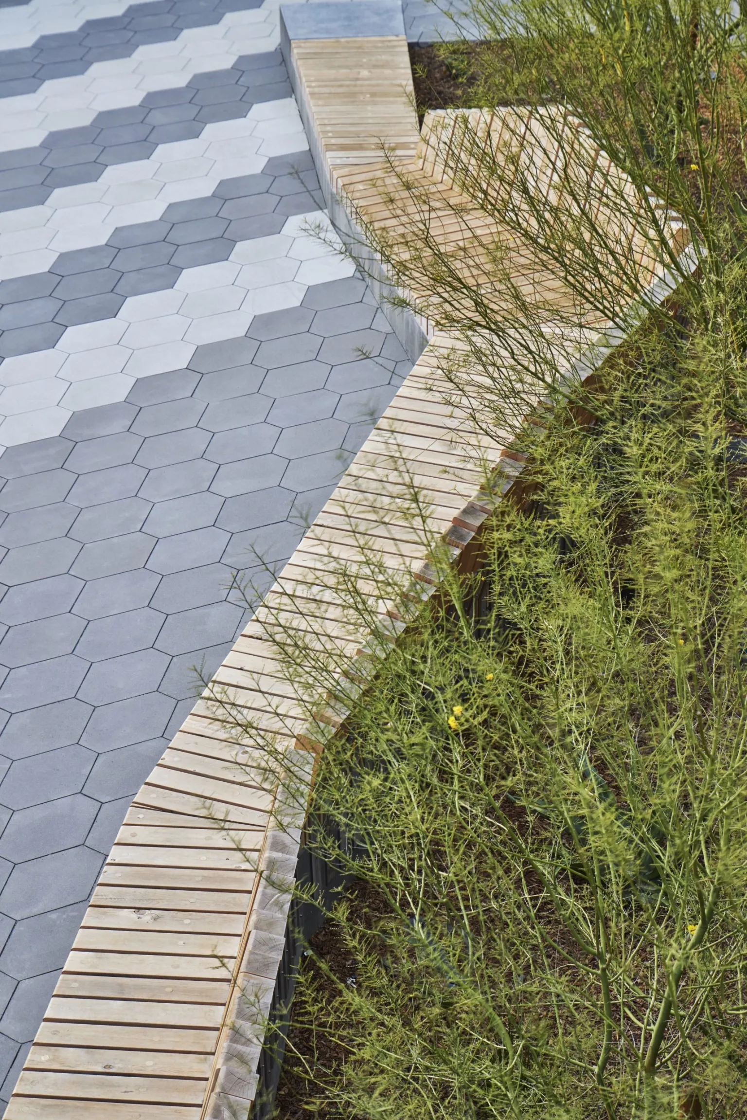 加州核桃溪·种植者广场丨Groundworks Office 设计事务所-21