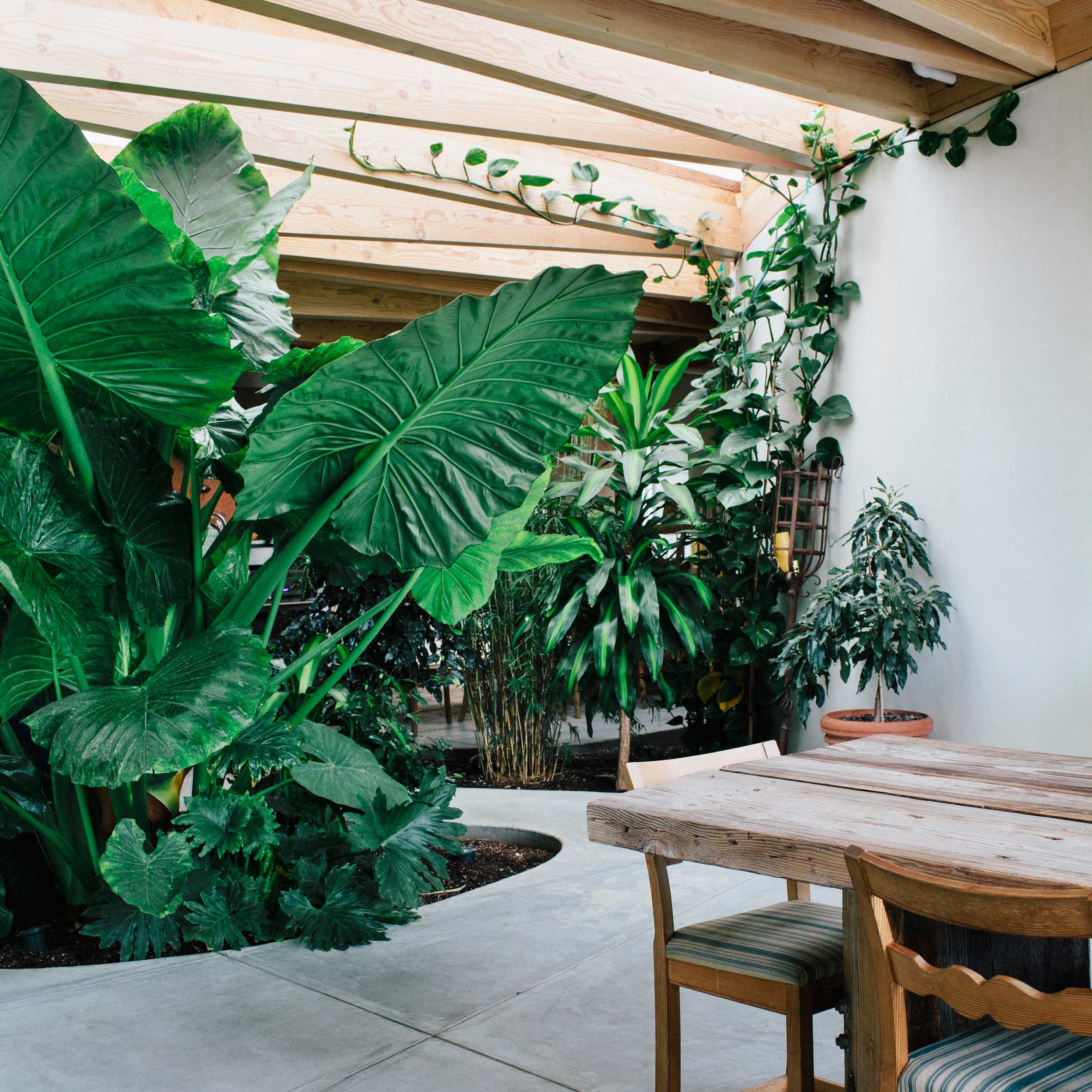 10 houses from Pinterest that offer ideas for outdoor dining-13