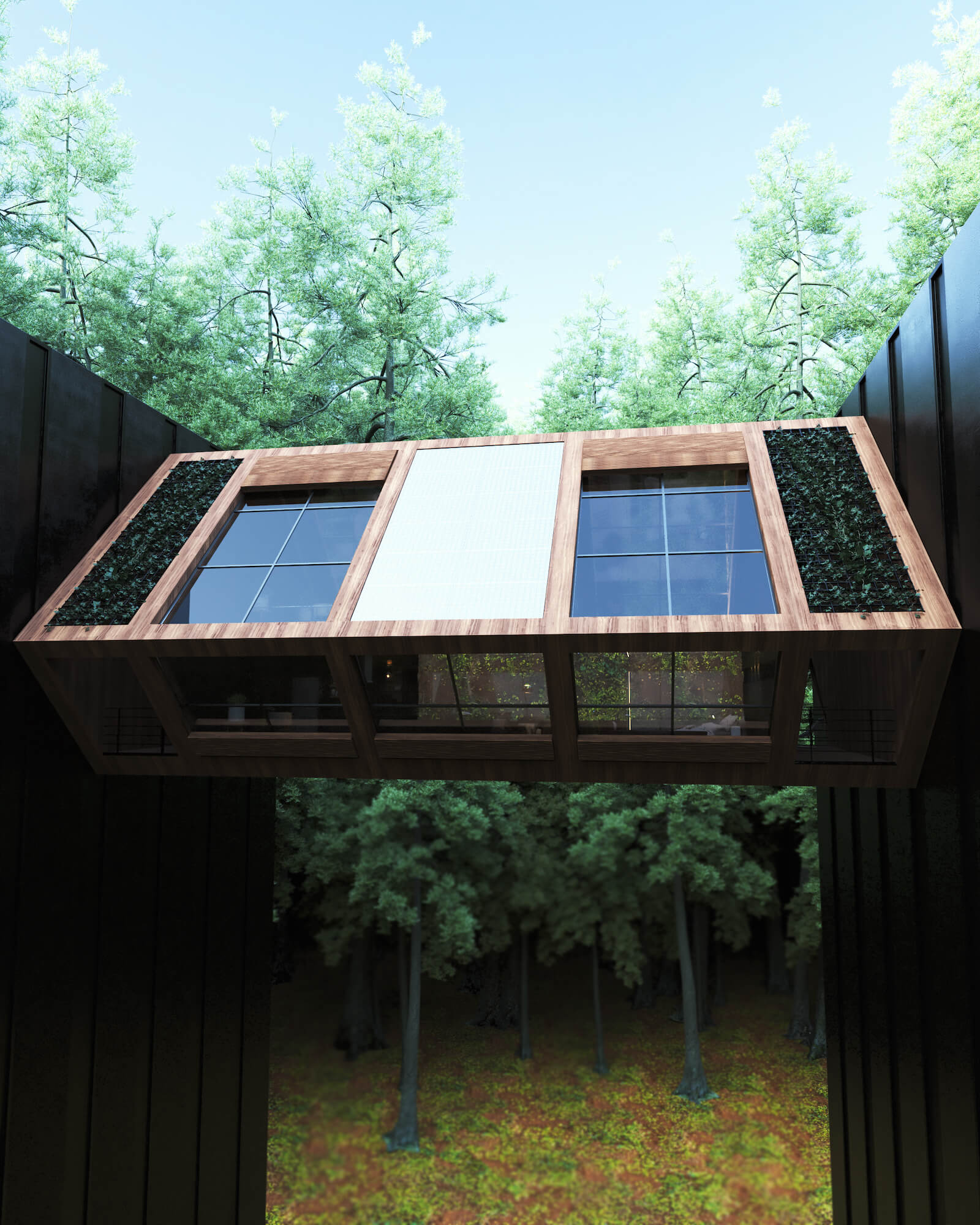 不列颠哥伦比亚省温哥华的电梯房                     -20