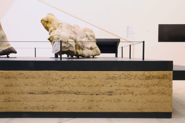 奥尔良生物多样性与环境博物馆生土展示台项目丨法国奥尔良-22