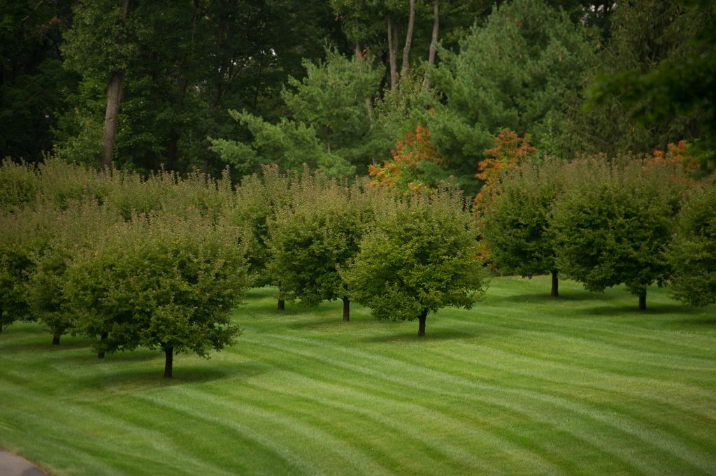 丨美国纽约丨Janice Parker Landscape Architects-9