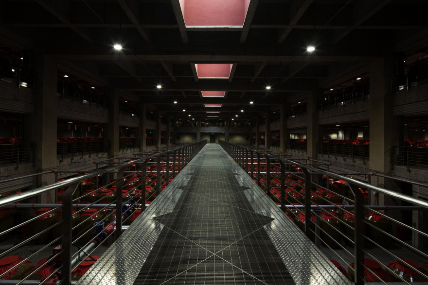 二郎郎酒庄园酒库-37