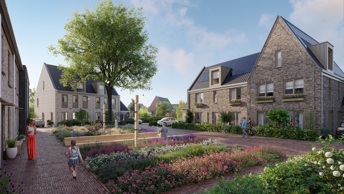 De Weide II景观与住宅项目丨荷兰-25