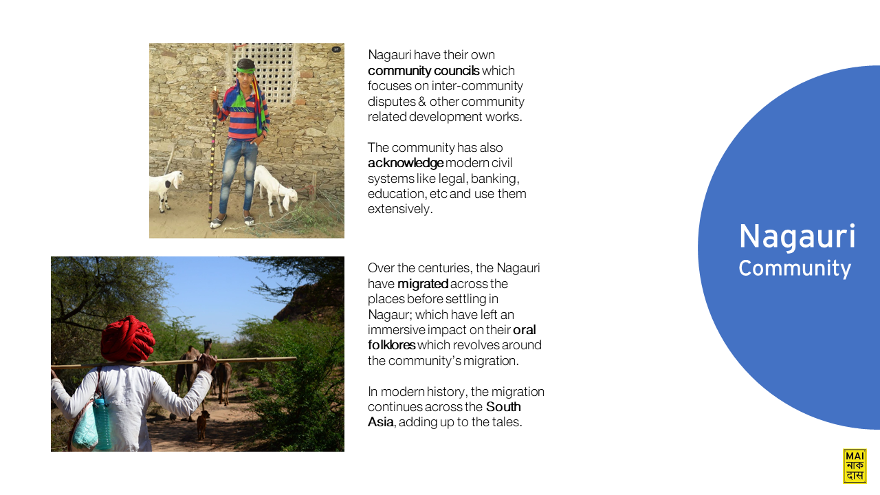 Store Redevelopment for Nagauri Milk-3