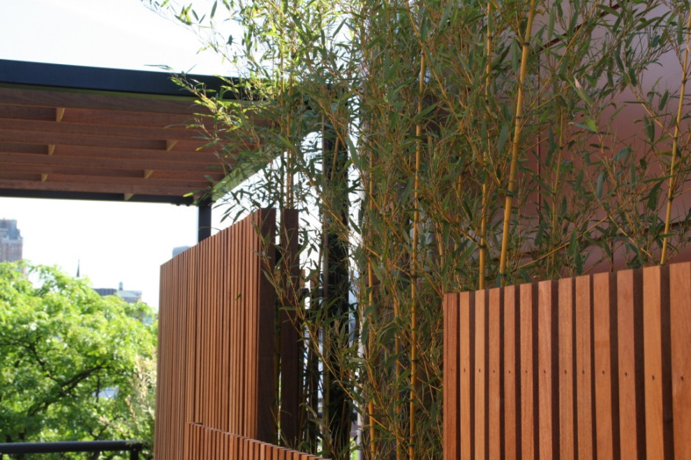 Cobble Hill Rooftop & Pergola-12