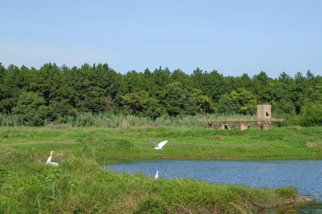 湿地洞窟配套驿站丨中国衢州丨Studio 10-24