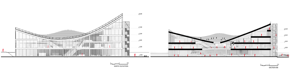 科学之岛 · 融入景观的科技文化中心-29