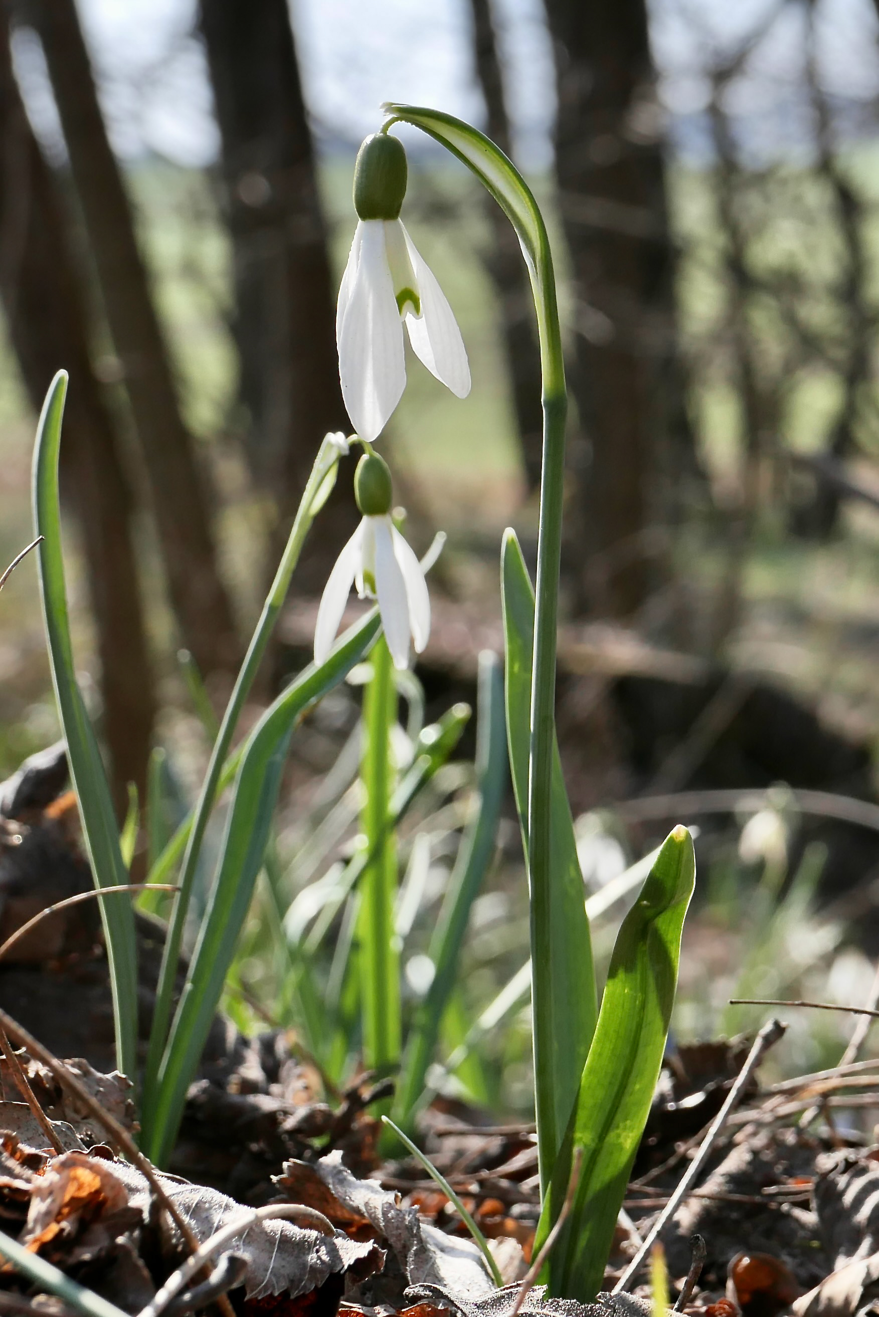 2026年复活节之旅-2