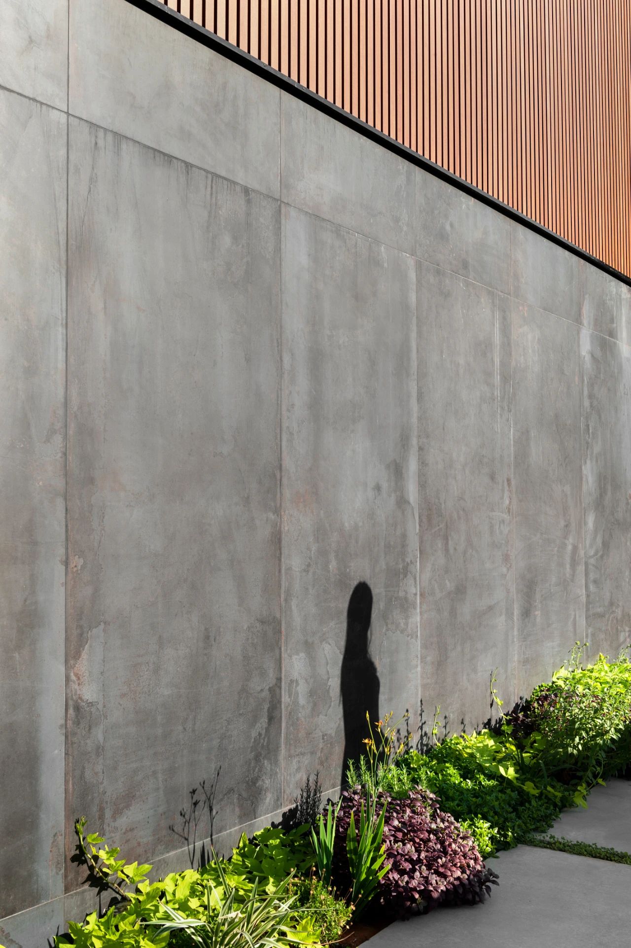 特拉维夫的隐蔽之家丨以色列特拉维夫丨Dan and Hila Israelevitz-38