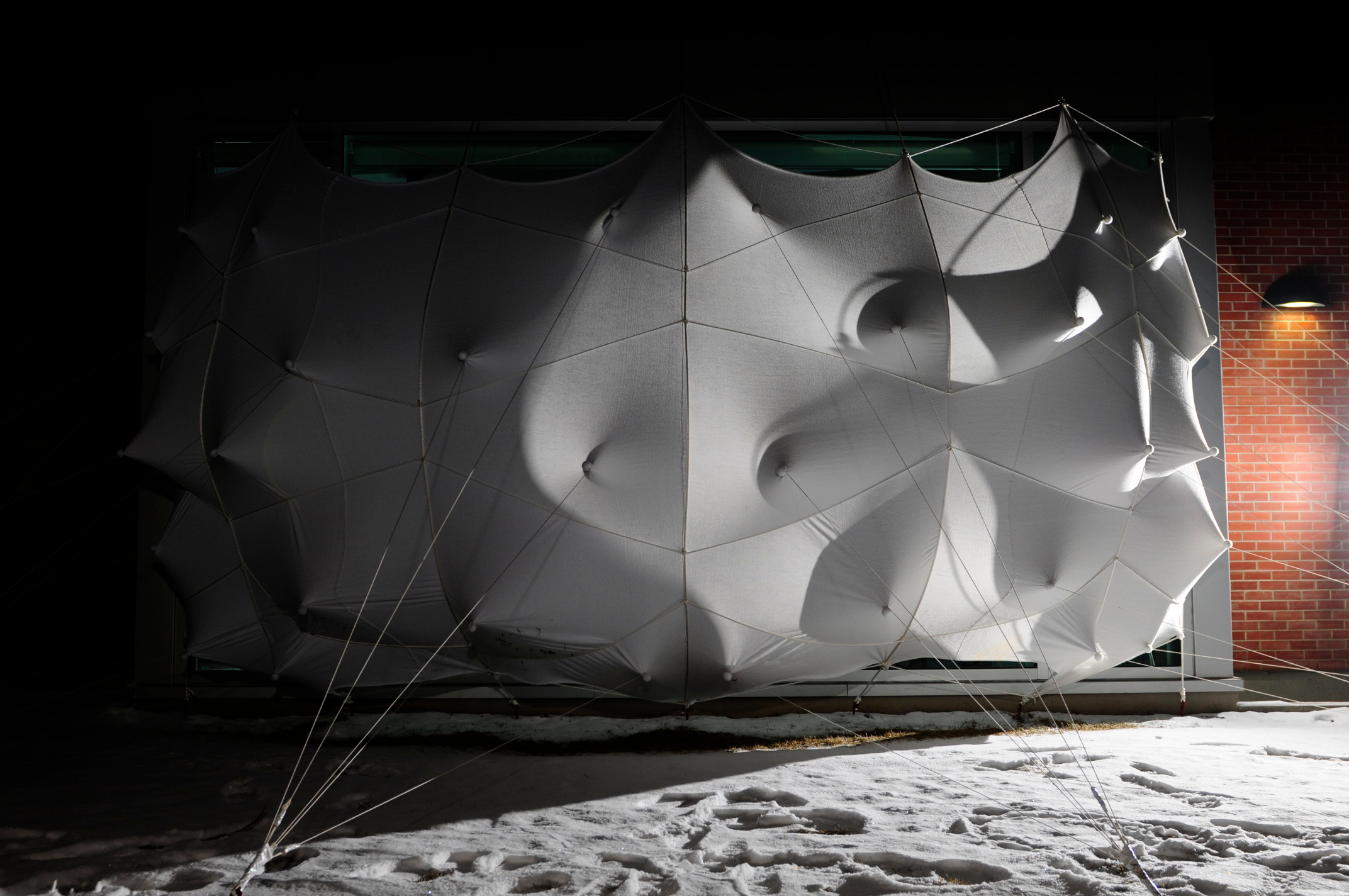 蜂群;一群(昆虫、人等);一大群;蜂拥而至;成群移动;云集丨加拿大丨Lancelot Coar-31