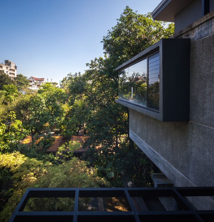 Mango Tree House  Volume Matrix Studio-1