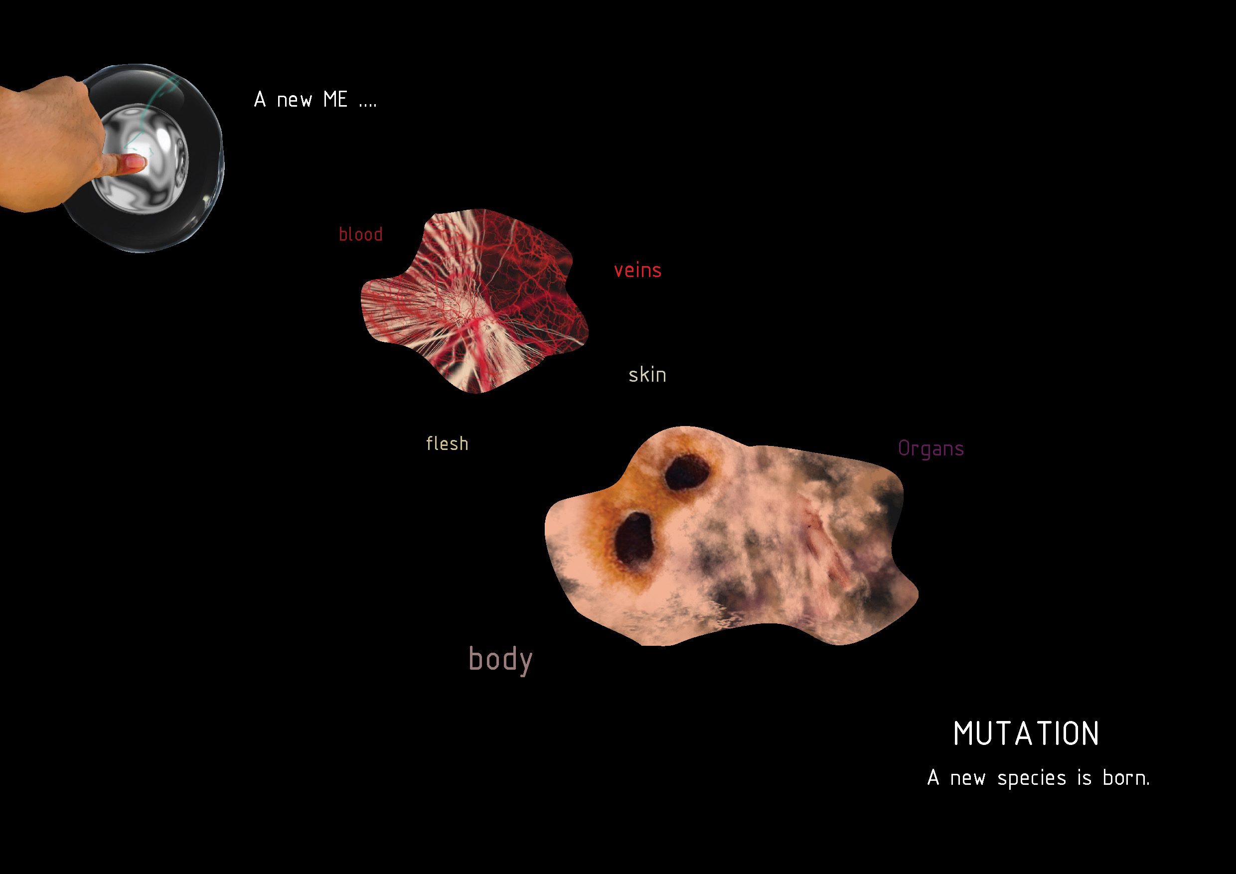 MEs_Mutation-20
