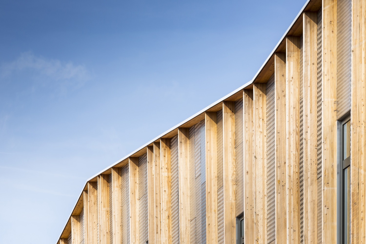 绿意盎然的新校园 · 贝松安吉拉·戴维斯学校-64