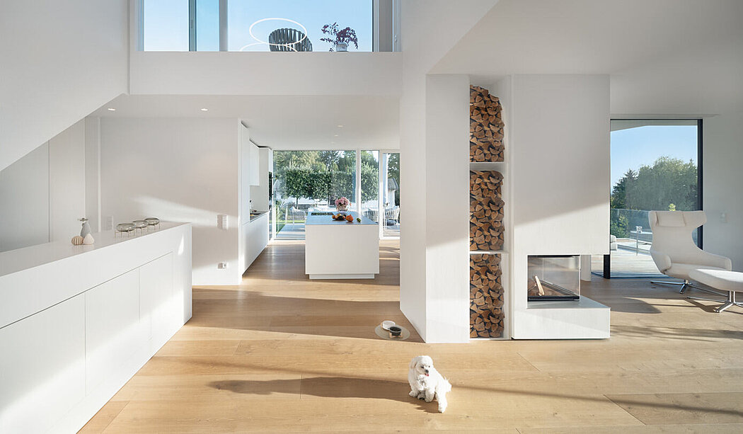 威斯巴登的别墅丨德国威斯巴登丨Weber + Hummel Architekten-5