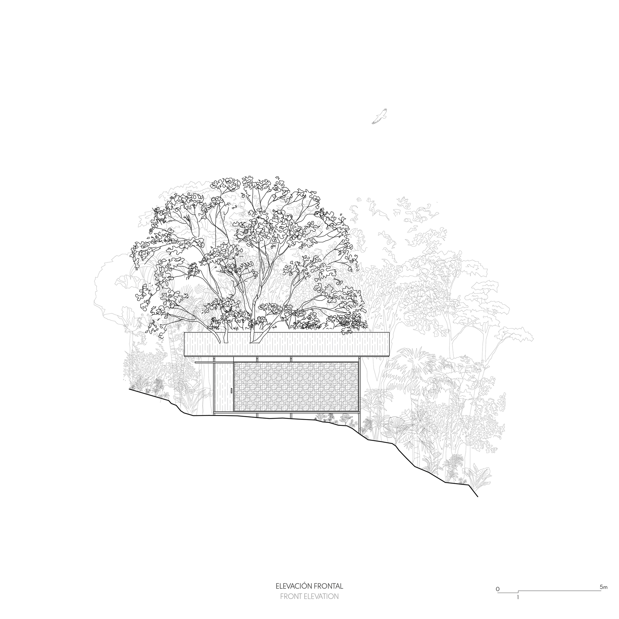 皮圭的一个小屋丨EcuadorPastaza丨Mestizo Estudio Arquitectura-44