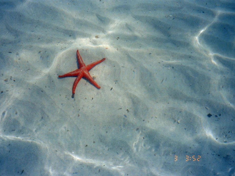 上海老破小的“逆生长”丨中国上海丨TUO建筑设计事务所-67