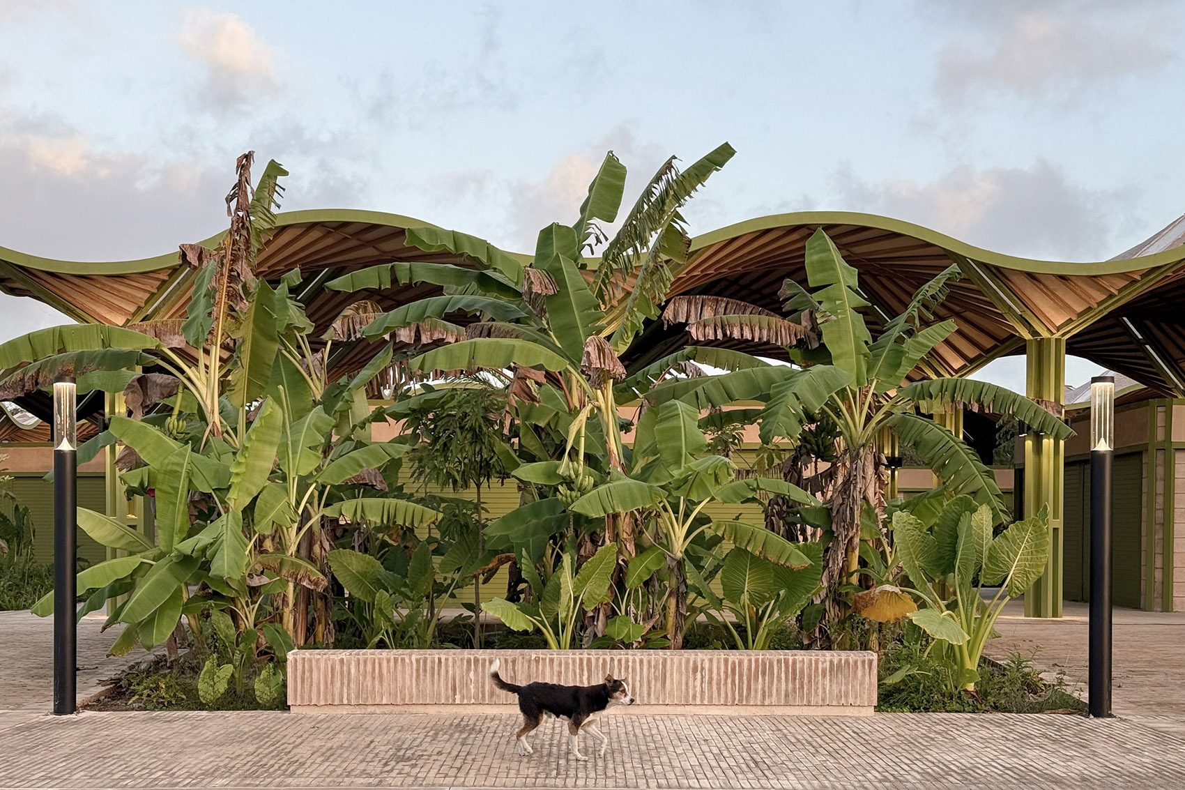 Mercado手工艺品集市，墨西哥 /  AIDIA STUDIO-28