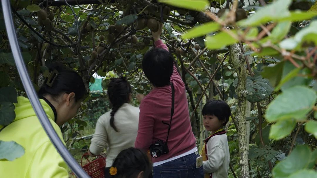 泰顺筱村自然乡村风格设计之旅丨品东装饰-20