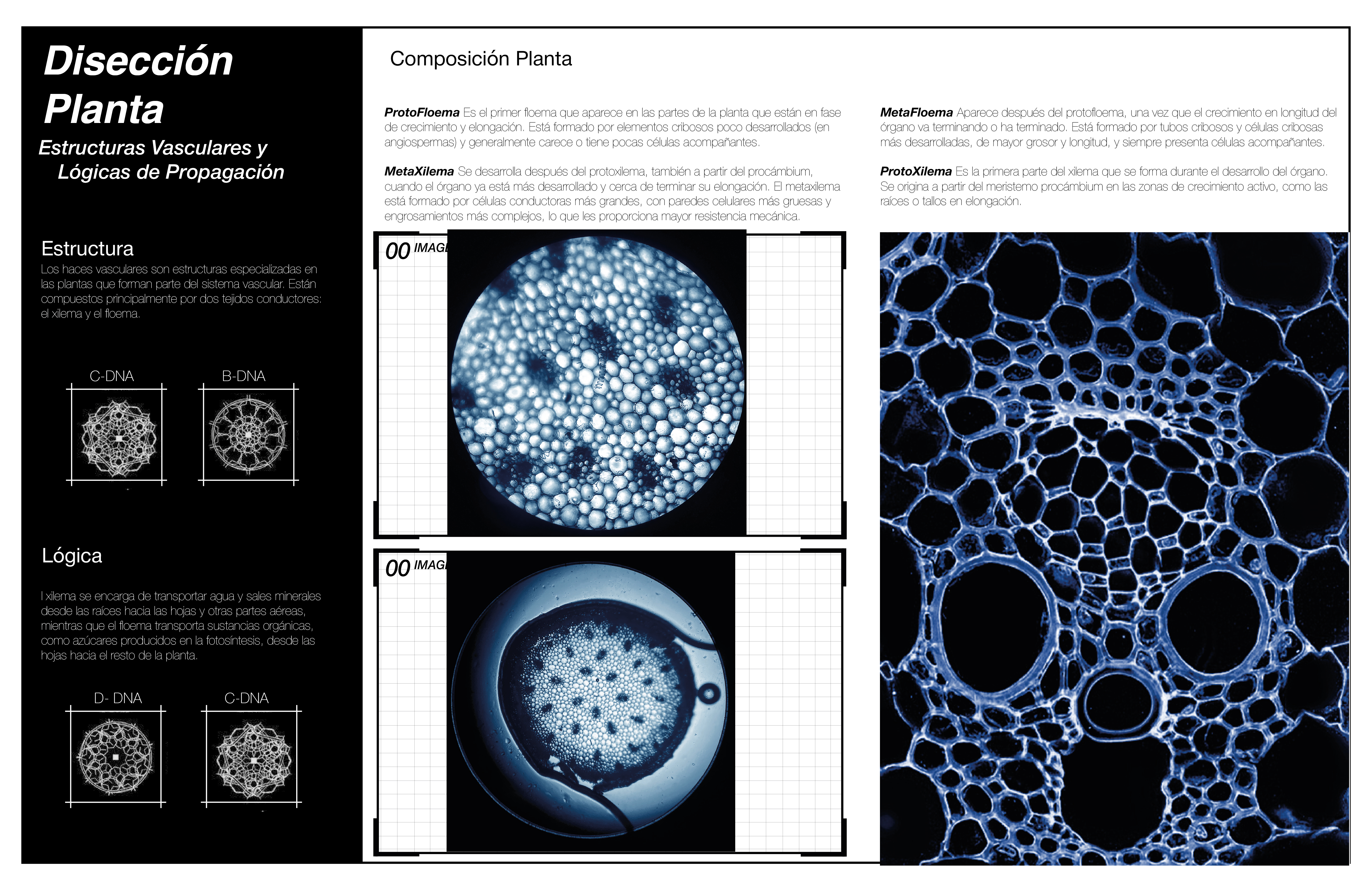 PROFUNDIZACIÓN MATERIA GENERATIVA Y FUTUROS AGREGADOS-12