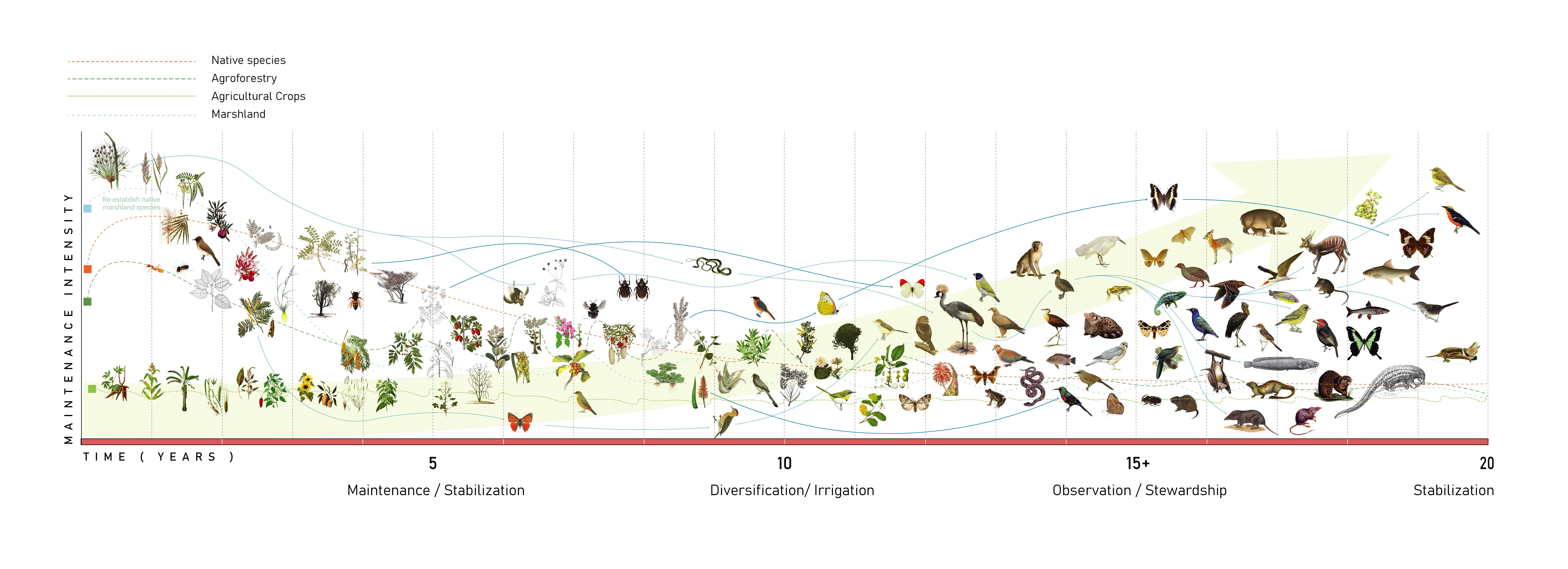 Rwanda Institute for Conservation Agriculture | MASS Design Group-40