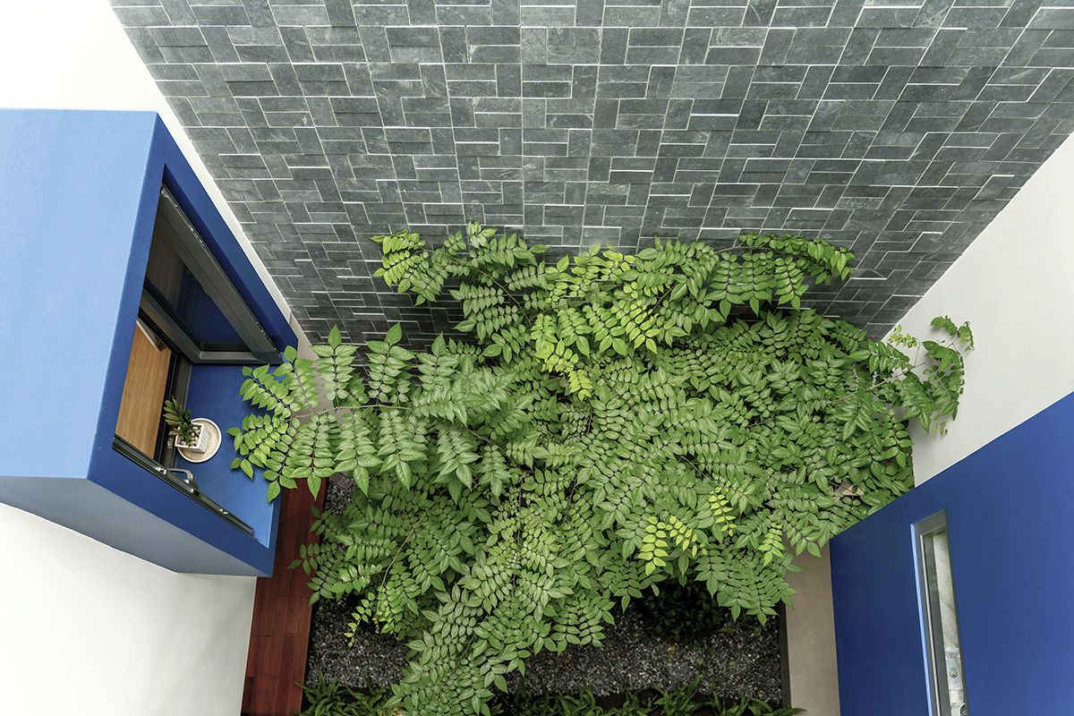 绿意盎然的家庭居所——现代中式的“空中花园”设计-34