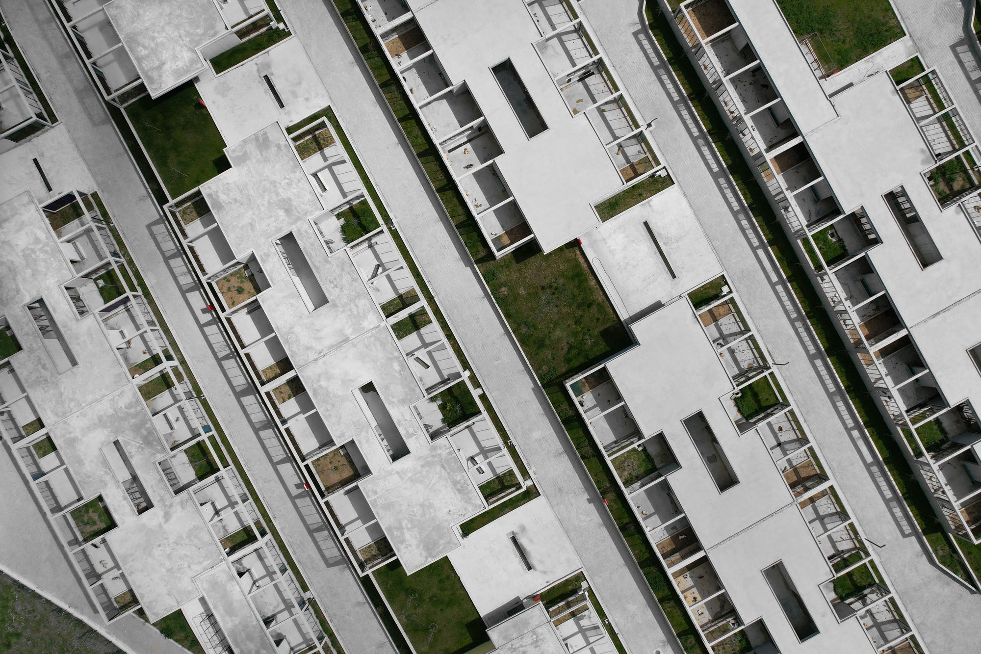 Pako Street Animal Social Life Campus  / Mert Uslu Architecture-28