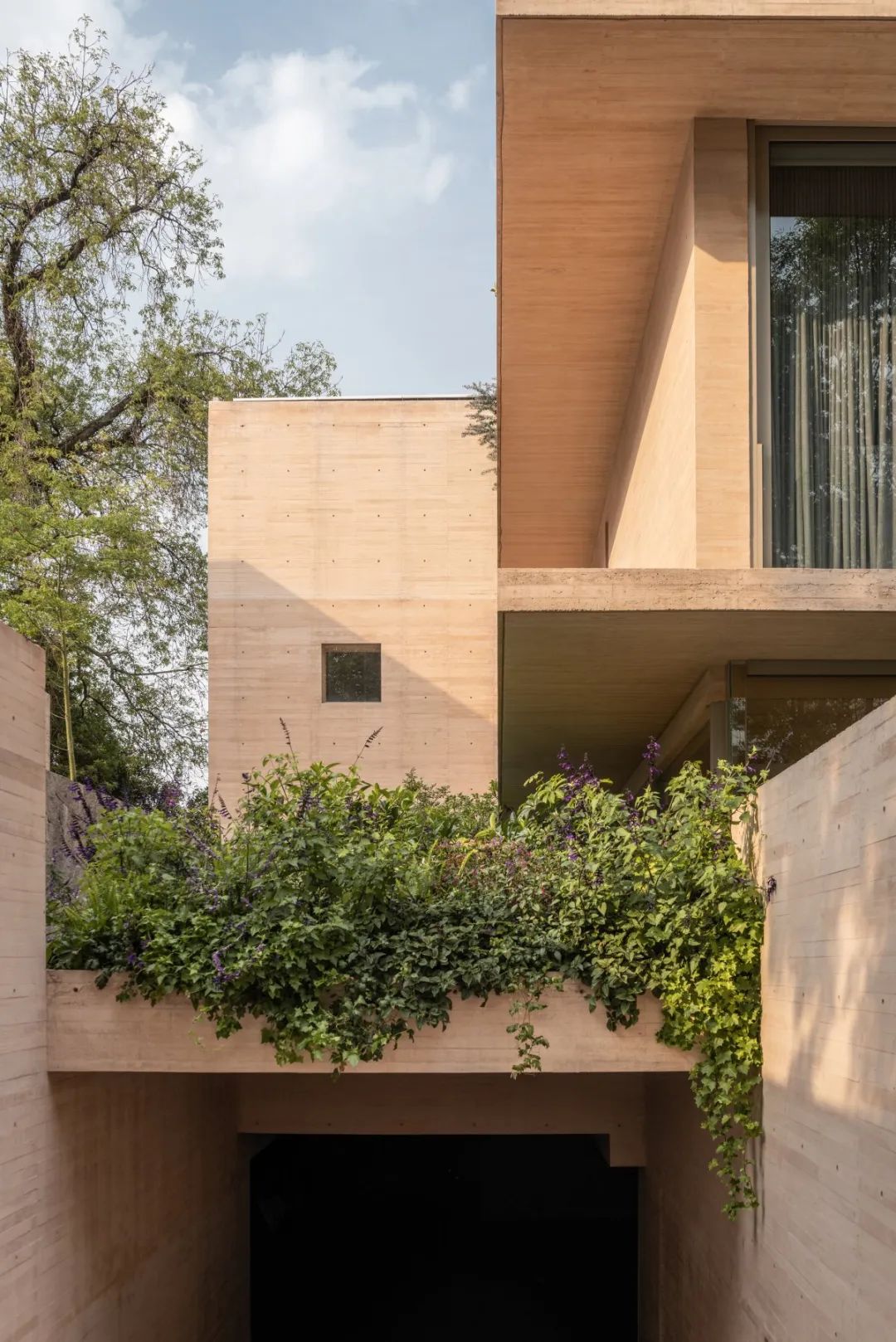 特霍科特之家丨墨西哥丨Gonzalez Muchow Arquitectos-47