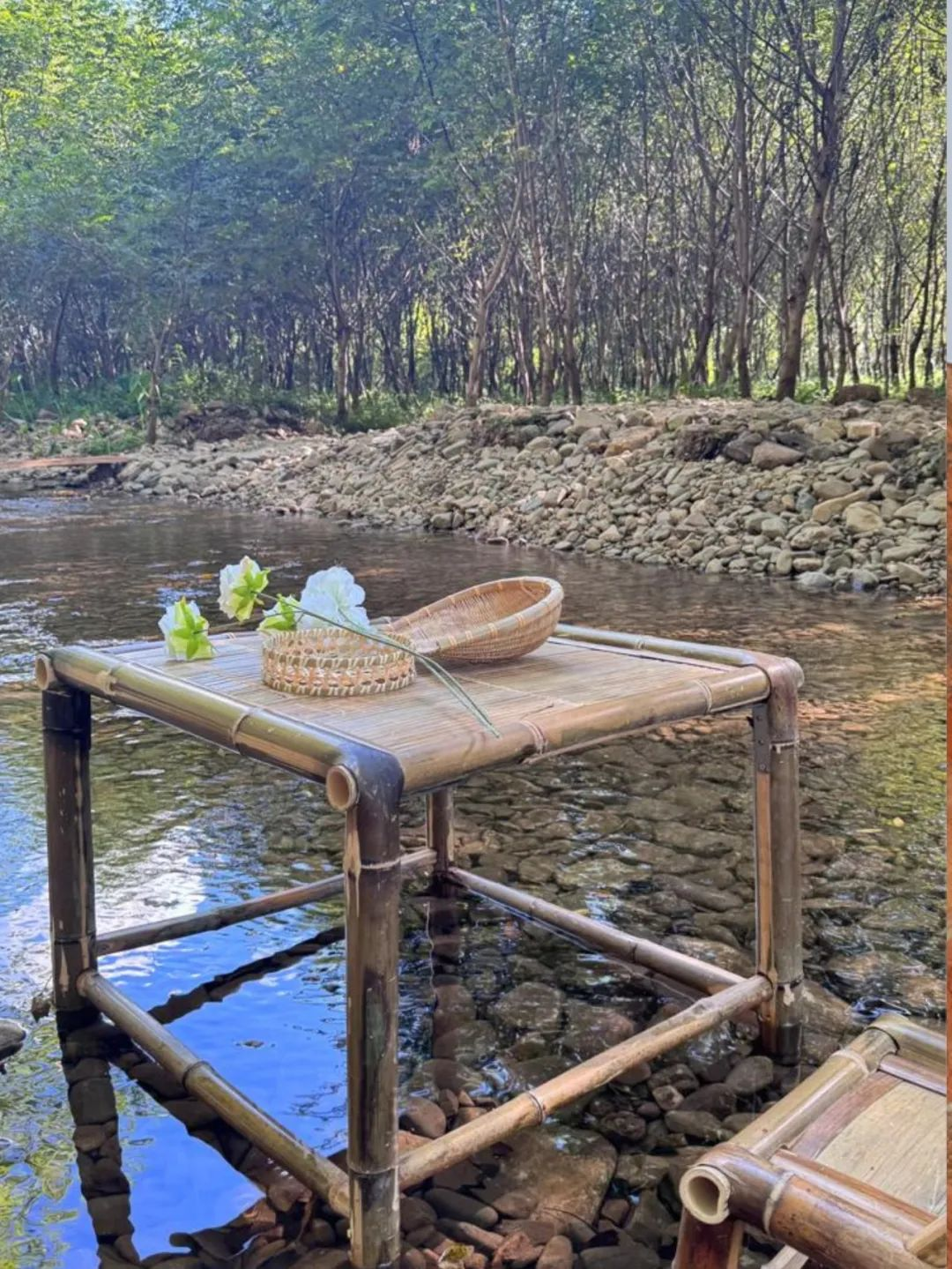 暑假背提-湖州&宣城搭建回顾|从露营地木构到茶山森林装置，探索自然与建造的共生-92