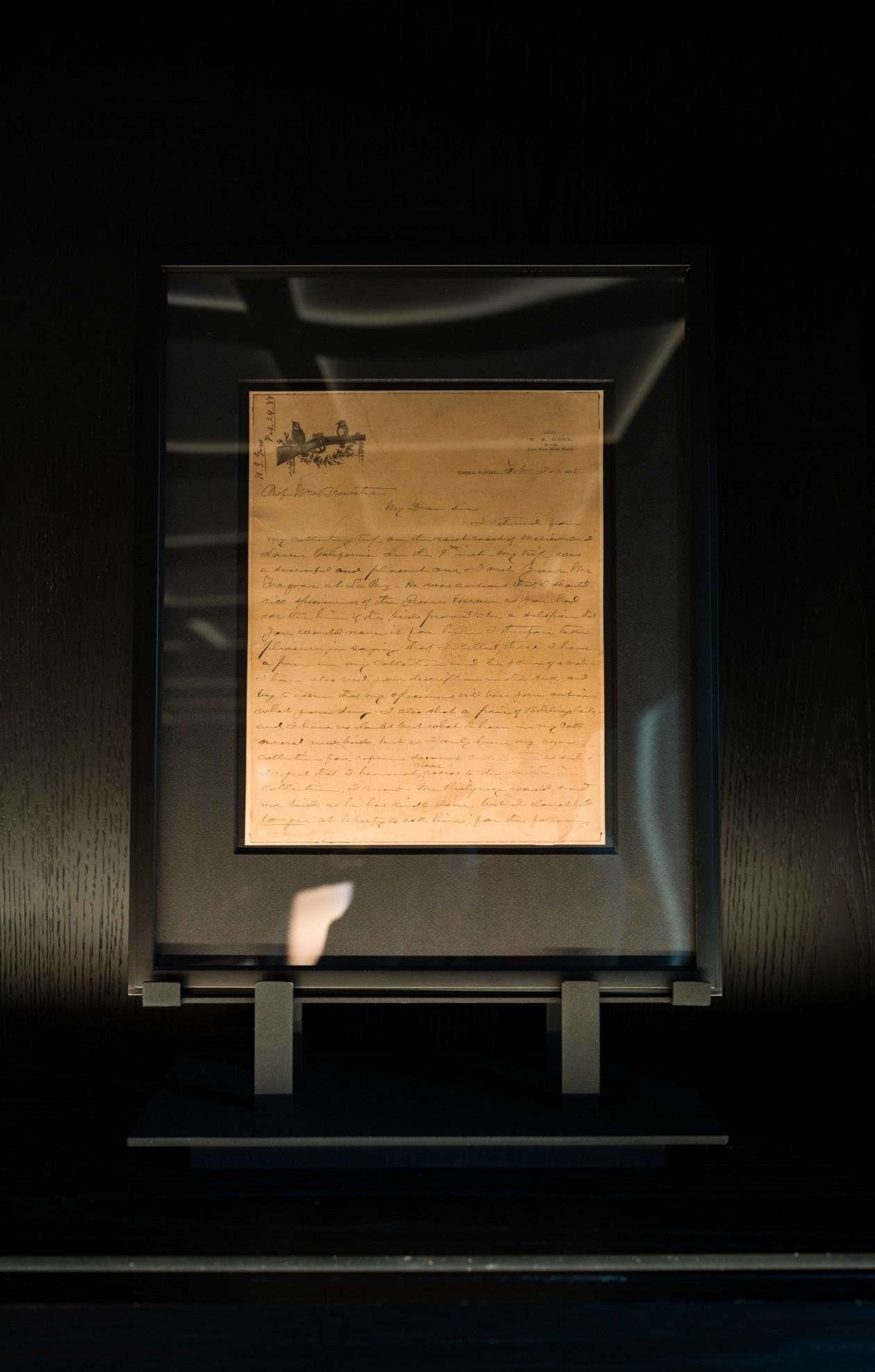 上海翠湖天地六期展厅丨中国上海丨弄设计 NONGSTUDIO,超集建筑,bpi等-14