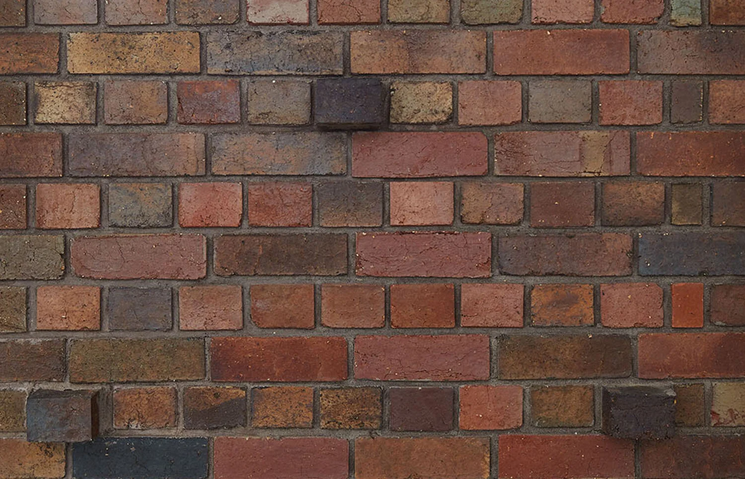 霍姆·科林伍德公寓丨John Wardle Architects-23