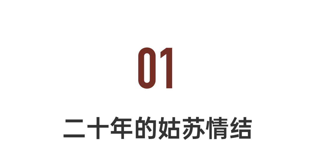 苏州古城中的山水庭园·孙元亮打造450㎡节能大宅丨中国苏州-25