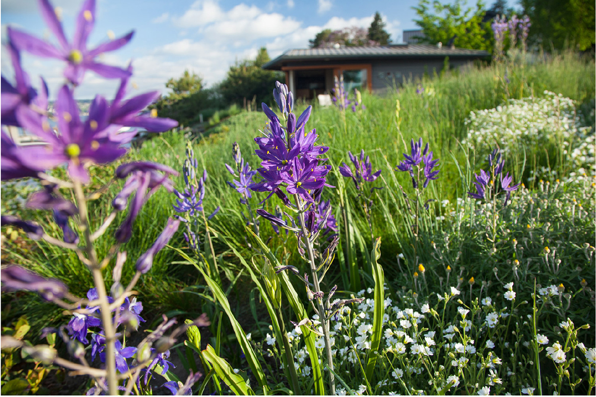 重塑湖岸线,西雅图丨美国西雅图丨Broadhurst + Associates-65