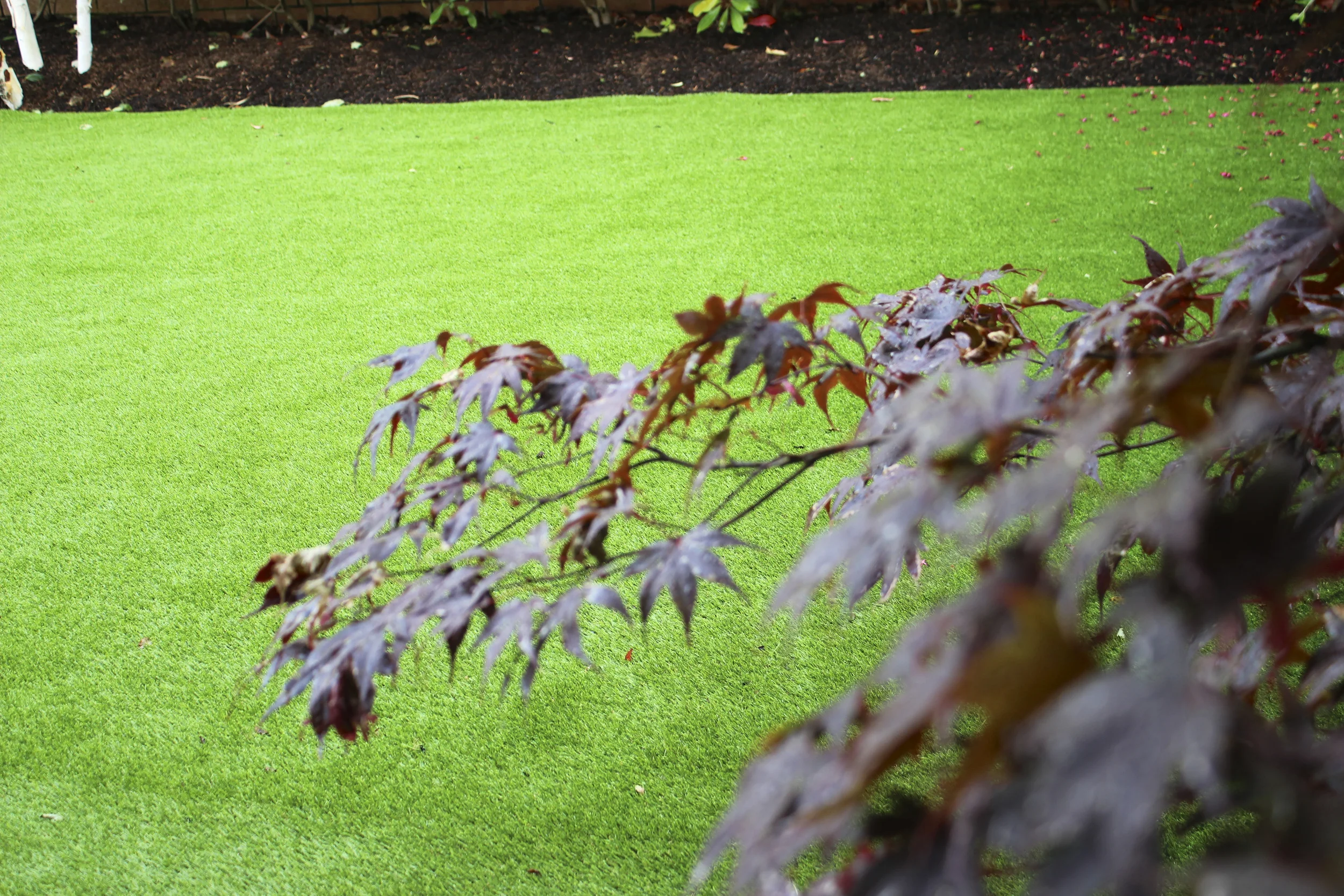 Fo·rock家庭花园人造草坪景观项目-24