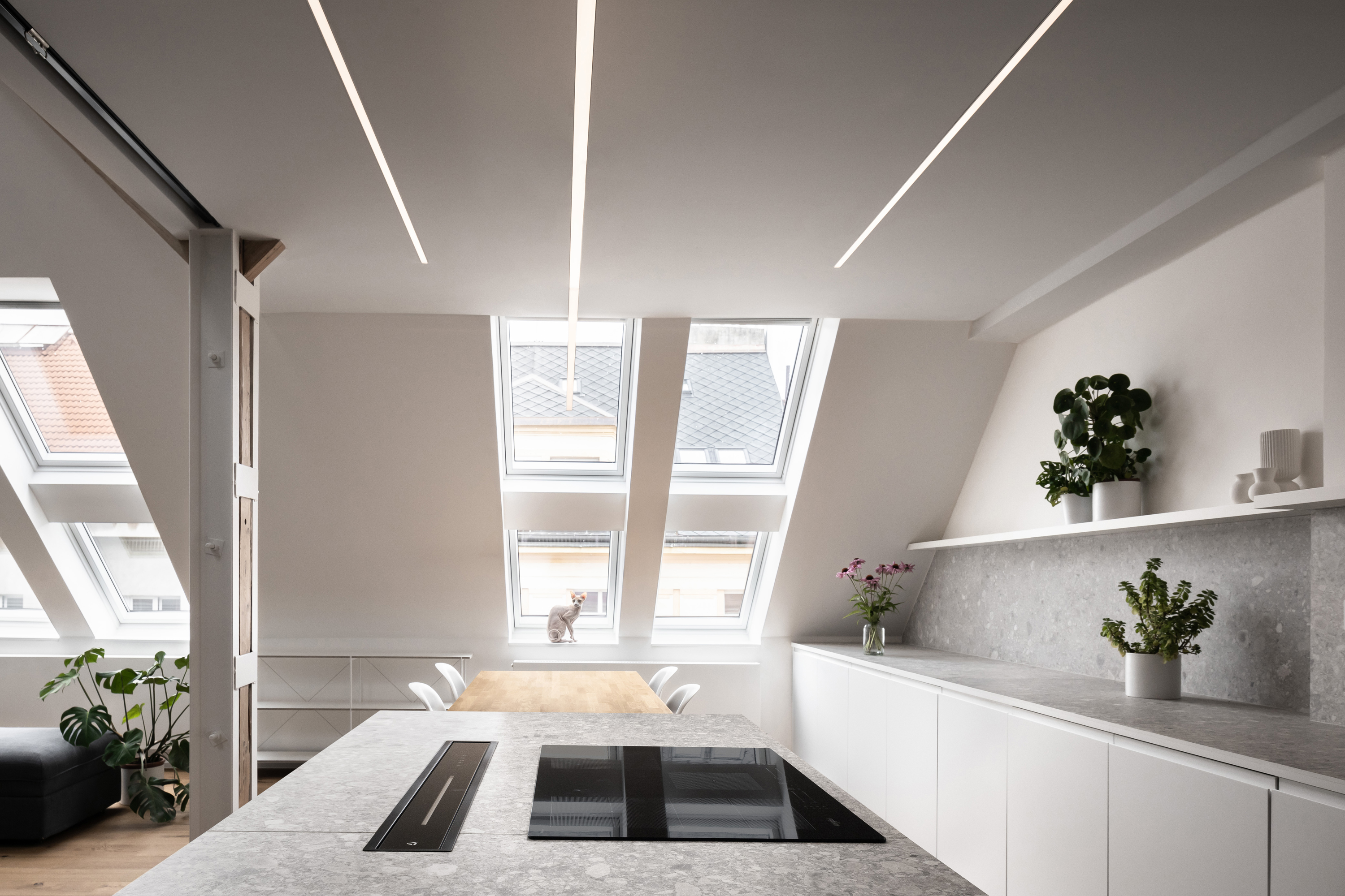 阁楼公寓与一个黑色的博丨玻利维亚贝尼丨Komon architekti-26