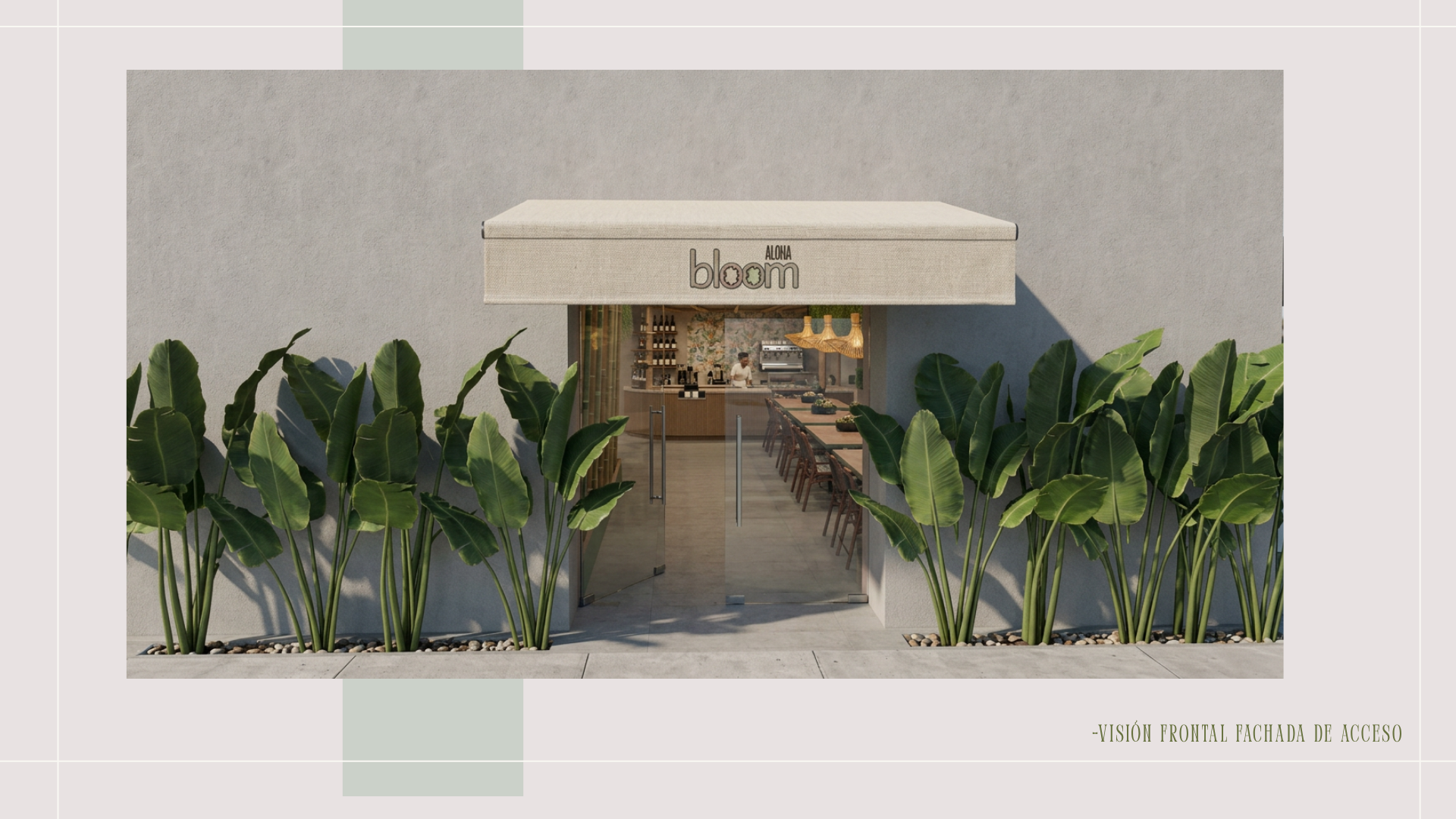 Aloha bloom 2026-24