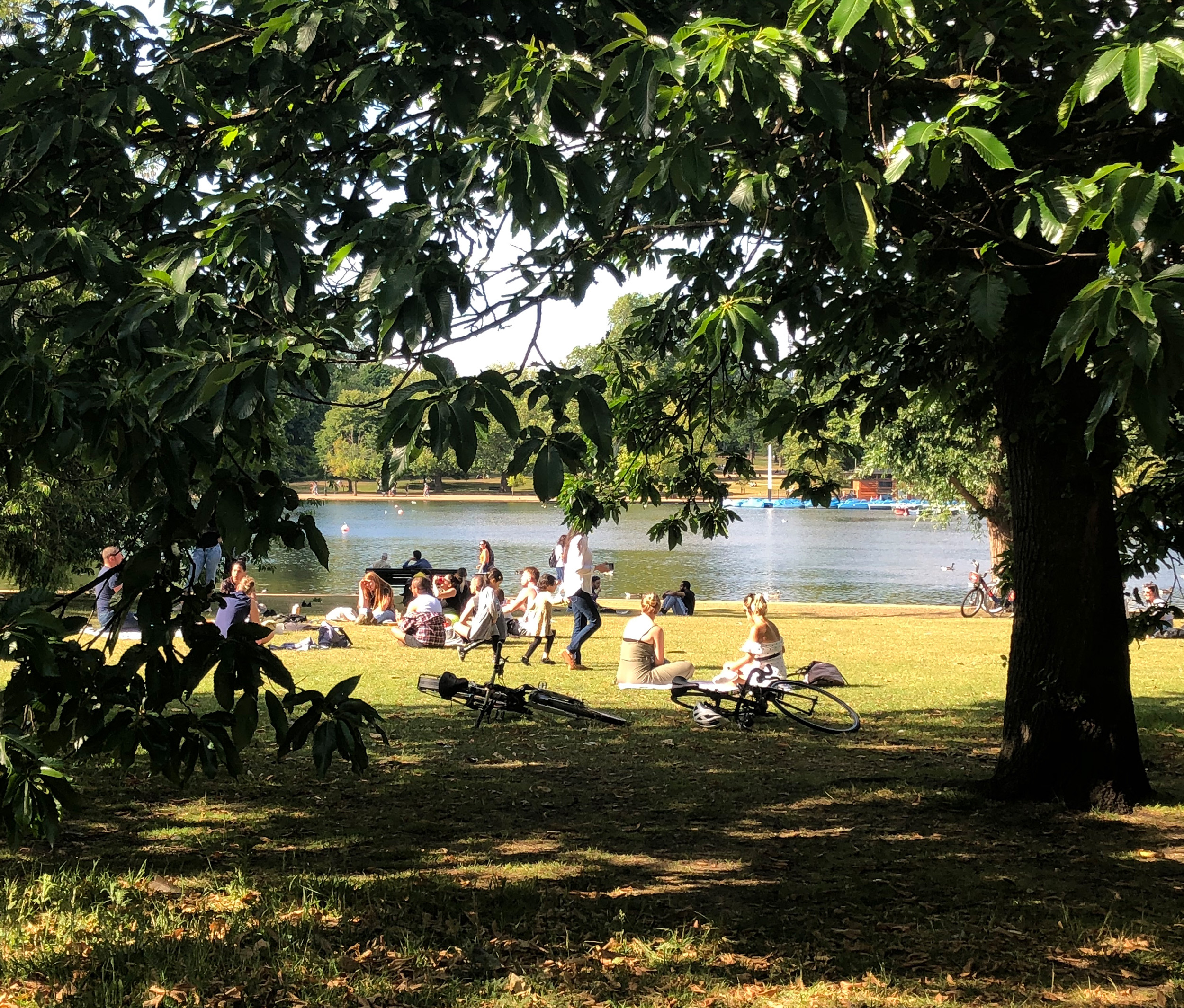 
			 Royal Parks Framework Competition			-3