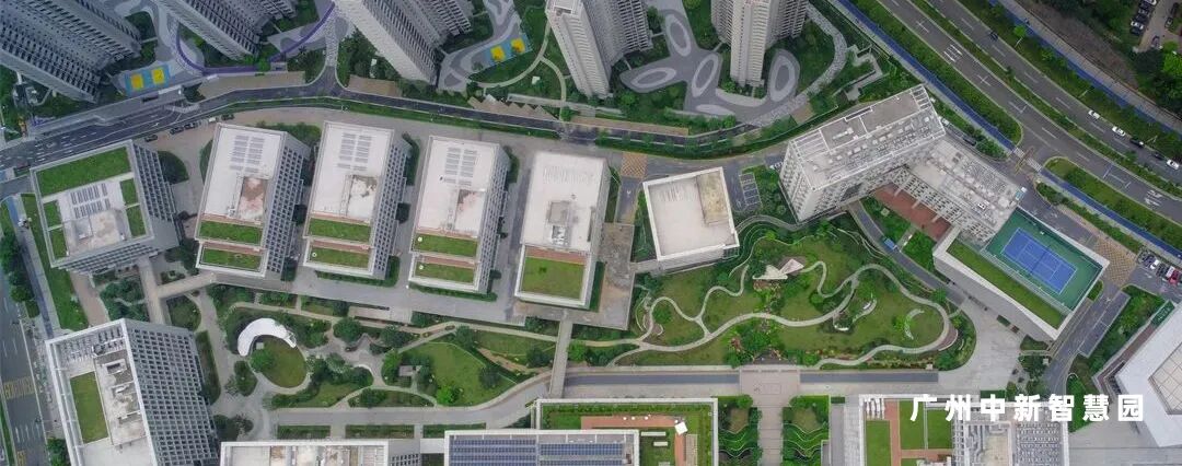 广宁竹海公园|构建绿美竹韵之路-96