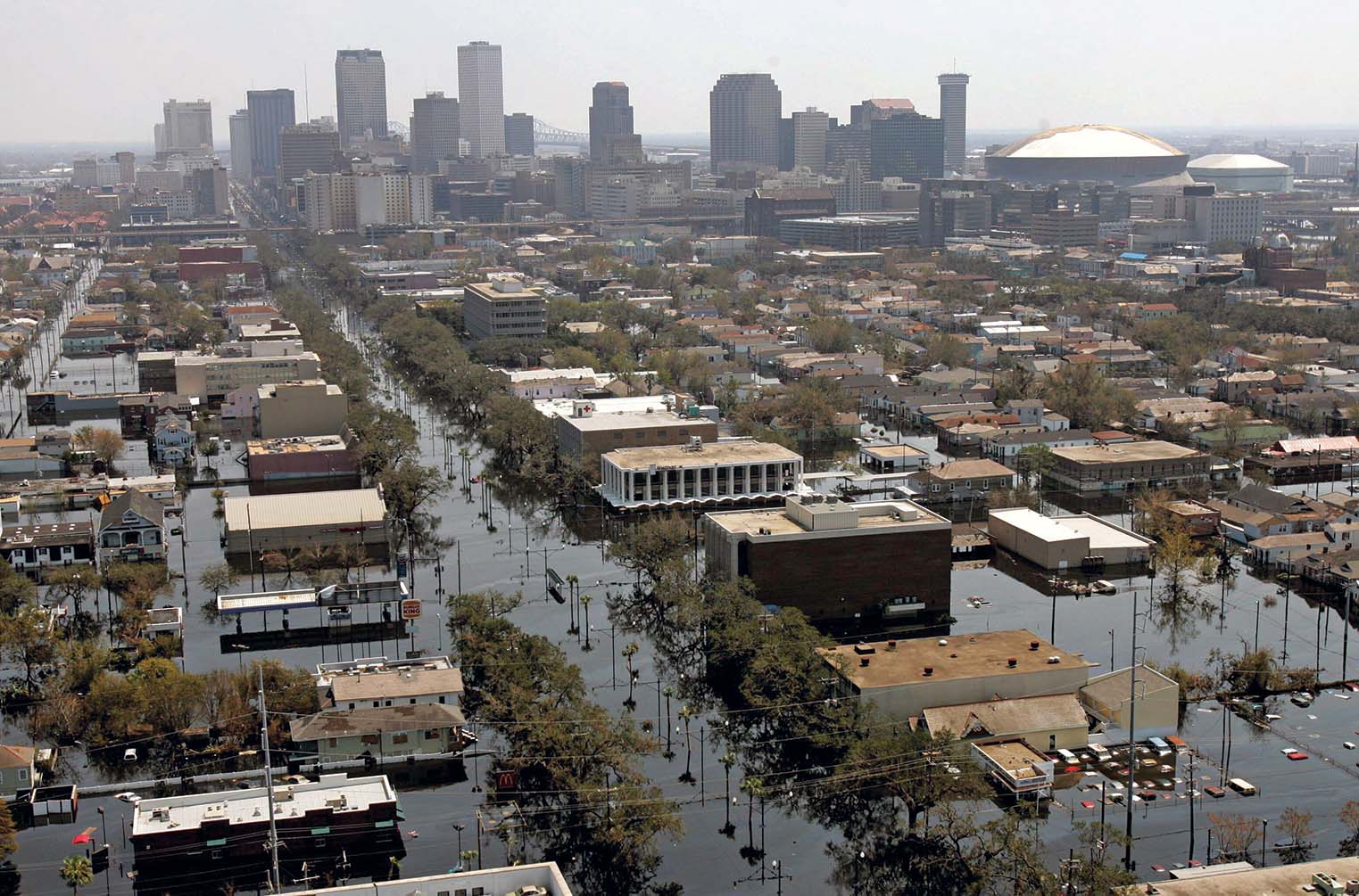 Lafitte Greenway（拉斐特绿道）丨美国-7